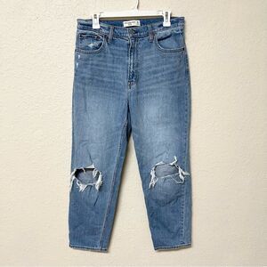 Abercrombie & Fitch The Mom High Rise Jeans Size 30/10R Distressed